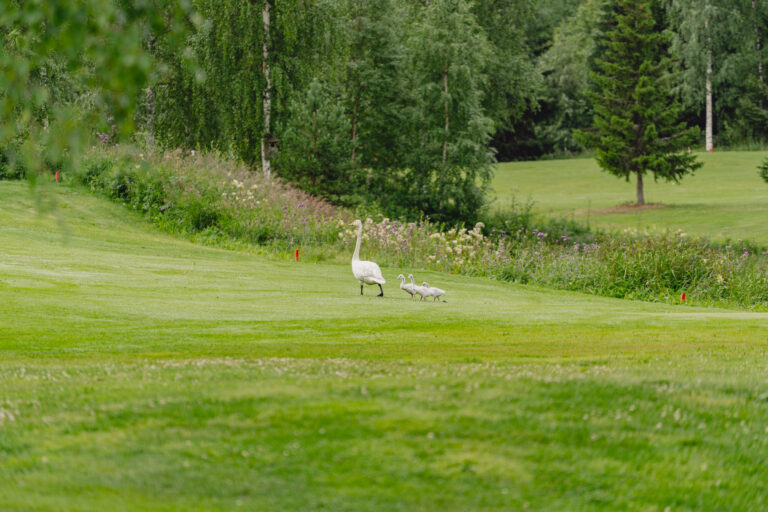 LadiesGolf_Tahko_Golf_6-7-2024-37